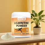L-Carnitine Powder - OEM Weight Loss Energy Boost