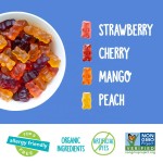Organic Gummy Bears - Bulk Wholesale Custom Packaging