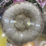 Ready Eat Bird Nest - OEM Bottle No Additives