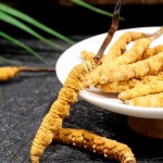 Cordyceps Powder - Food Grade Herbal Tea Use
