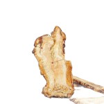 Angelica Root - Premium Raw Herb AD Drying