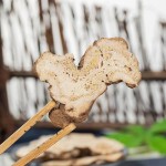 Atractylodes Root - Premium Raw Herb Wholesale