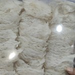 Ready Eat Bird Nest - OEM Bottle No Additives