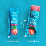 Non Dairy Popsicle - Mango Fruit Puree Sour Bags