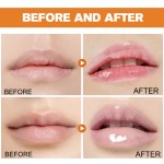 Avocado Lip Balm 2 Pack - Shea Butter Squalane