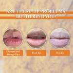 Avocado Lip Balm 2 Pack - Shea Butter Squalane