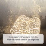 Bakuchiol Serum 30ml - Niacinamide Ceramide Repair