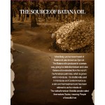 Castor Shampoo Bar 100g - Solid Hair Growth