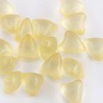 Yoni Suppository - Boric Acid Cleaning