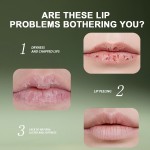 Tinted Lip Balm - OEM Vegan Vitamin E Moisturizing