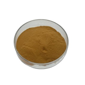 Avocado fruit Extract powder 10:1 plant extract Avocado Extract
