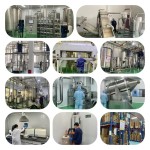 Nattokinase Capsule OEM Natto Extract Nattokinase Capsules 100mg Nattokinase Capsule