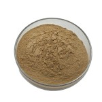 Top Quality 10:1 Thai Black Ginger Extract Powder Organic Ginger Powder