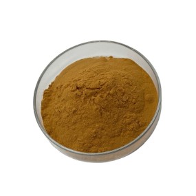 Plant Extract 10:1 20:1 Loquat Leaf Extract Loquat Extract