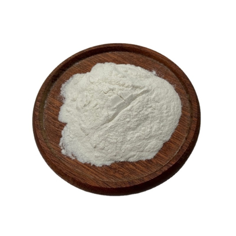 Manufacturer Supply High Quality Probiotics Pediococcus Lactis Supplements Bifidobacterium Lactis Powder