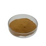 Lemon Verbena Leaf Powder Natural Flavone Melissa Officinalis Extract Lemon Verbena Extract