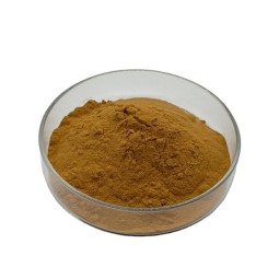 Melissa Officinalis Leaf Extract Lemon Verbena Flavone Melissa Officinalis Extract
