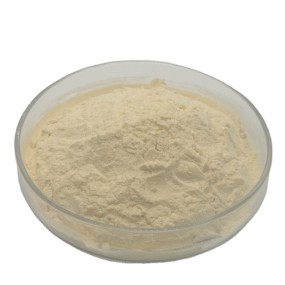 Soy Protein 60% Food Supplement Hydrolyzed Soy Protein Concentrate Powder Concentrated Soy Protein