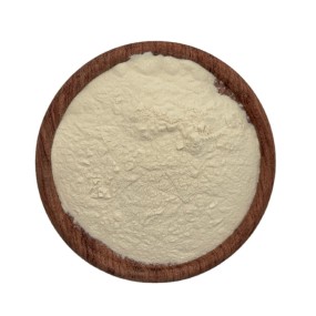 Avocado Powder Organic Avocado Powder Shea Butter Dried Avocado Powder