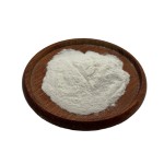 Manufacturer Supply High Quality Probiotics Pediococcus Lactis Supplements Bifidobacterium Lactis Powder