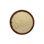 Good Price Lemon Powder Freeze Dried Lemon Juice Dry Lemon Powder