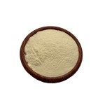 Lemon Juice Powder Organic Lemon Fruit Powder for Bulk