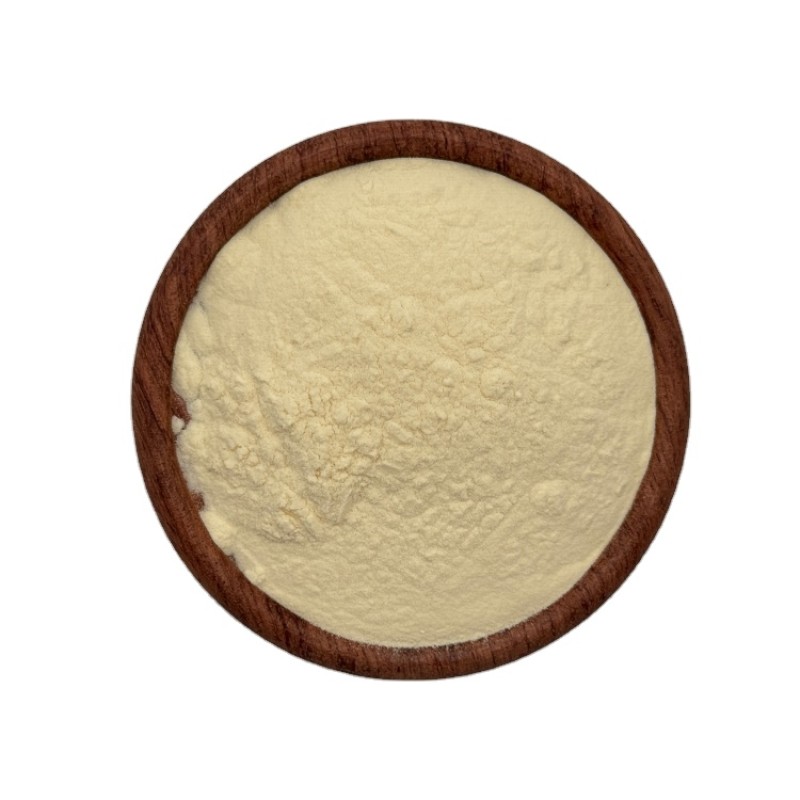 100% Natural High Quality Freeze Dried Lemon Powder Lemon Extract Powder