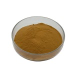 Avocado fruit Extract powder 10:1 plant extract Avocado Extract