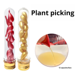 Ginger Oil Capsule Factory - Bulk 12-Capsule Beauty Salon