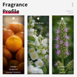 Custom Perfume Factory - Private Label 100ml Mist Spray