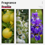 Women Perfume Supplier - OEM 100ml Floral Scented Oil