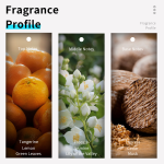 EDP Perfume Supplier - Bulk 100ml Citrus Fragrance