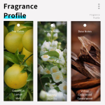 Men Perfume Manufacturer - Bulk 100ml Long-lasting Fragrance