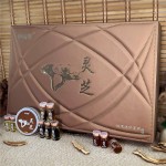 Ganoderma Oil Set Supplier - Bulk Body Conditioning Box