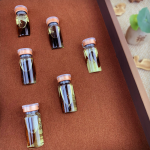 Ganoderma Oil Set Supplier - Bulk Body Conditioning Box