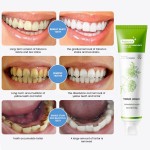 Toothpaste Manufacturer - MULAN Customizable Probiotic Camellia