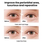 Eye Spa Essence Manufacturer - MULAN Customizable Anti Aging Peptide