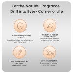 Reed Diffuser Manufacturer - MULAN Custom Premium Luxury Long Lasting