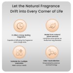 Essential Oil Diffuser Factory - MULAN Luxury Eco Friendly Long Lasting