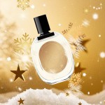 Perfume Gift Set Manufacturer - MULAN Christmas Starlit Night Floral