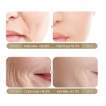 Whitening Face Cream Factory - MULAN Women 30ml Glycerin Antioxidant