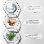 Face Cream Factory - MULAN OEM Whitening Brightening Hydrating 100ml