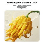 Essential Oil Factory - MULAN Organic Plant Rollerball Pure Skin