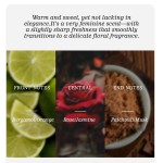 Body Mist Manufacturer - MULAN Women Floral Romantic Elegant Daily