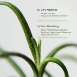 Essential Oil Factory - MULAN Organic Rosemary Natural Moisturizing