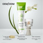 Toothpaste Manufacturer - MULAN Customizable Probiotic Camellia