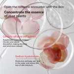 Body Essence Oil Manufacturer - MULAN Natural Rose Vitamin E Nourishing