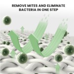 Air Freshener Spray Factory - MULAN Eco Friendly House Car Purify