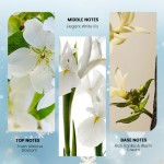 Body Fragrance Set Manufacturer - MULAN Shimmering Deeply Moisturizing