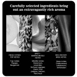 Perfume Spray Manufacturer - MULAN Unisex Luxury Woody Scent Long Lasting